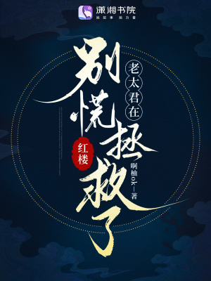 红楼:别慌,老太君在拯救了