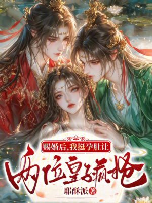 赐婚后,我挺孕肚让两位皇子疯抢