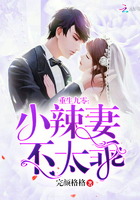重生九零:小辣妻,不太乖